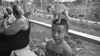 Dominican Republic Trailer