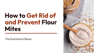 Flour Mite Menace? How to Get Rid of and Prevent These Pantry Pests | The Guardian