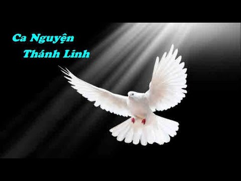 Ca Nguyện Thánh Linh   545