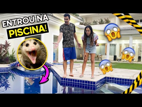 UM ANIMAL GIGANTE INVADIU A PISCINA E NÃO QUER IR EMBORA! + DIA DOS IRMÃOS