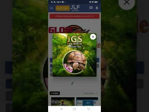 JLF - Jual Lelang Fauna&Flora