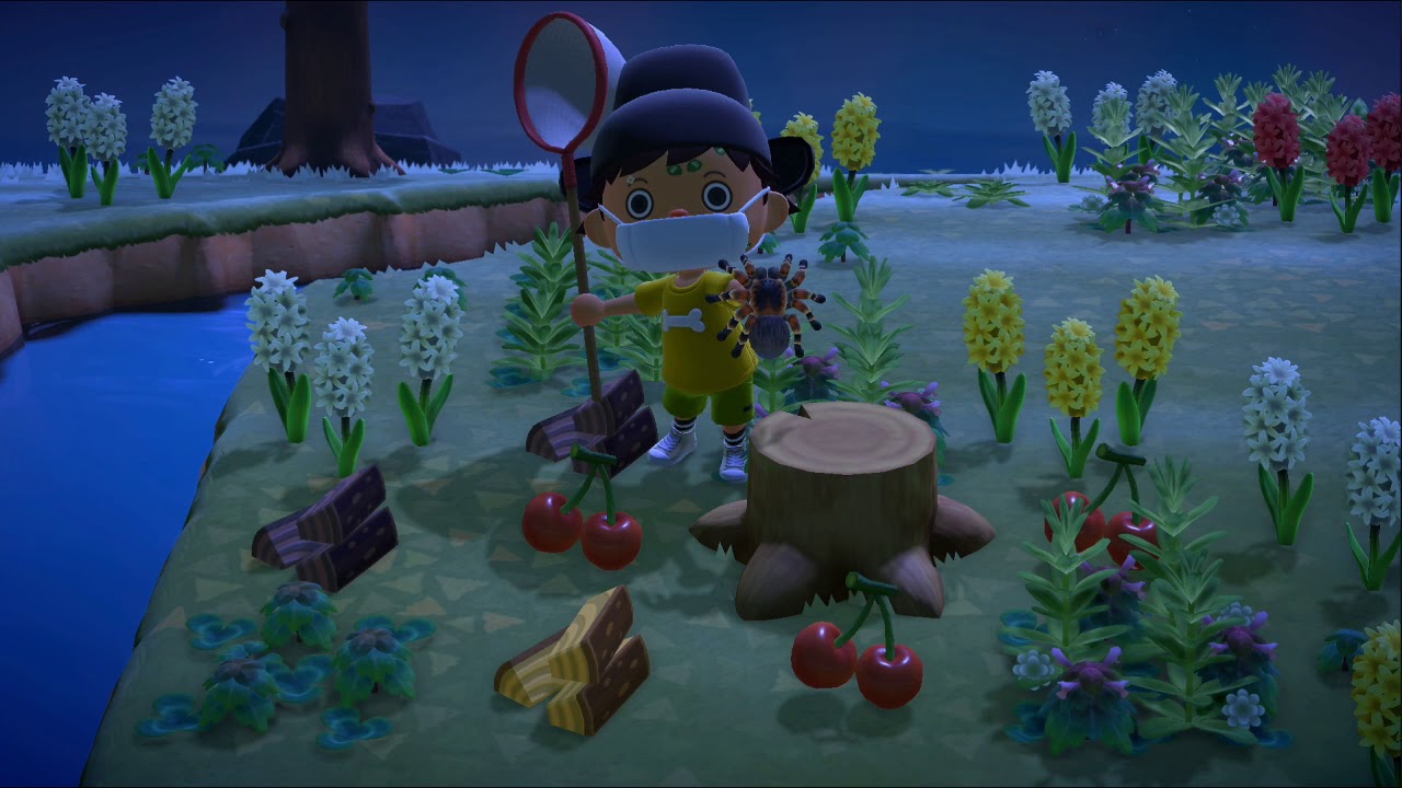 Miniature vidéo