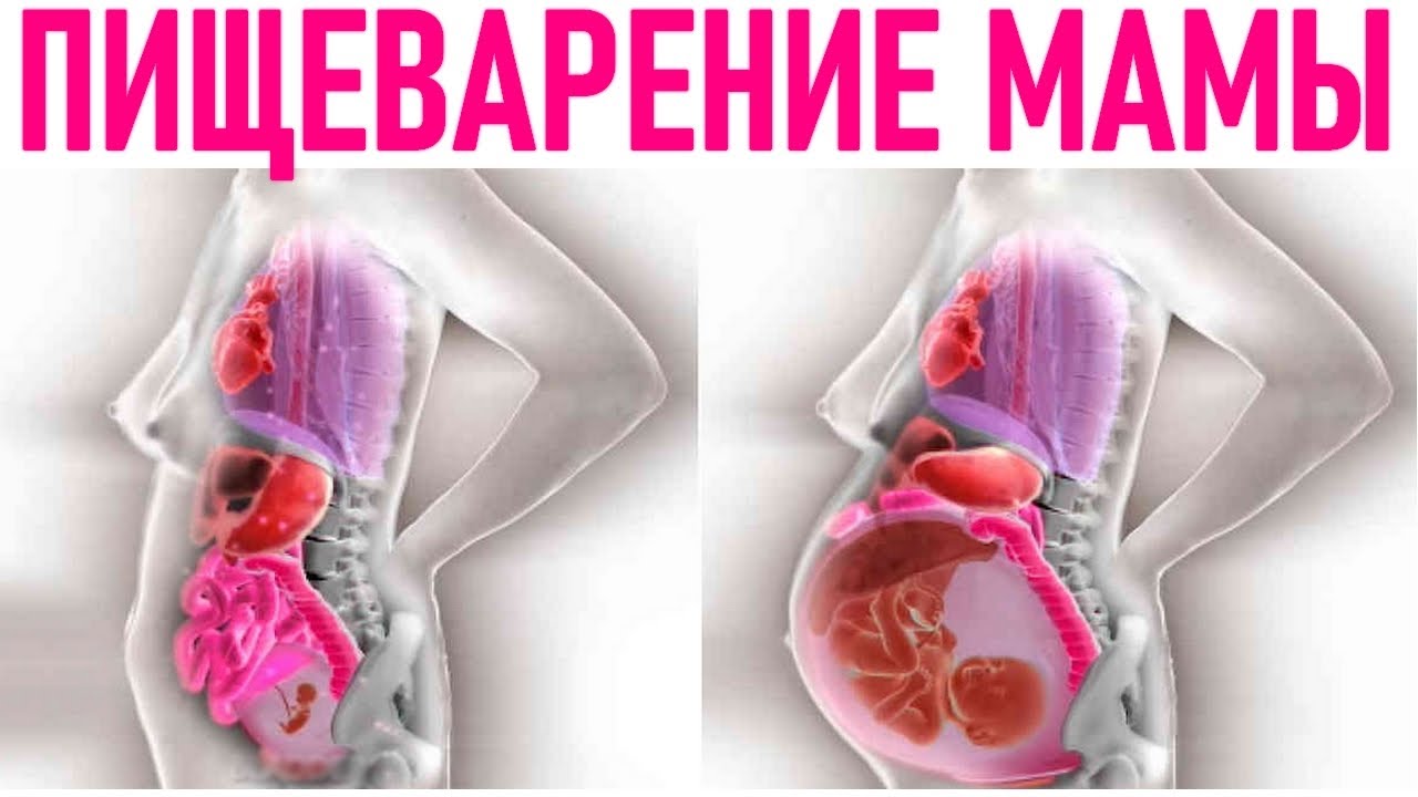 ПИЩЕВАРЕНИЕ ВО ВРЕМЯ БЕРЕМЕННОСТИ | 4 частые проблемы с пищеварением во время беременности