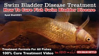 How to cure floating bloated fish swim bladder goldfish #How to cure swim bladder disease