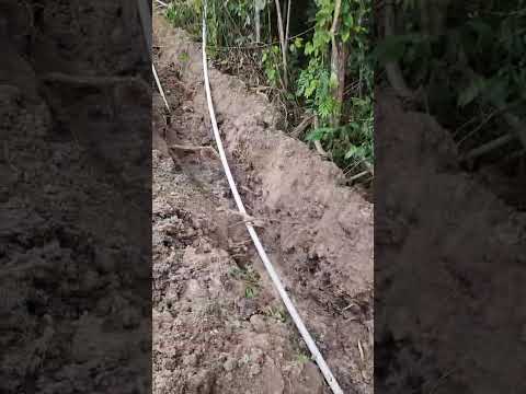 Avance zanjeo proyecto mejoramiento agua potable Parcelamiento unión II Santa Ana Peten