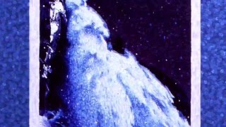 Plastic Flowers - Diver (2016) (Audio)