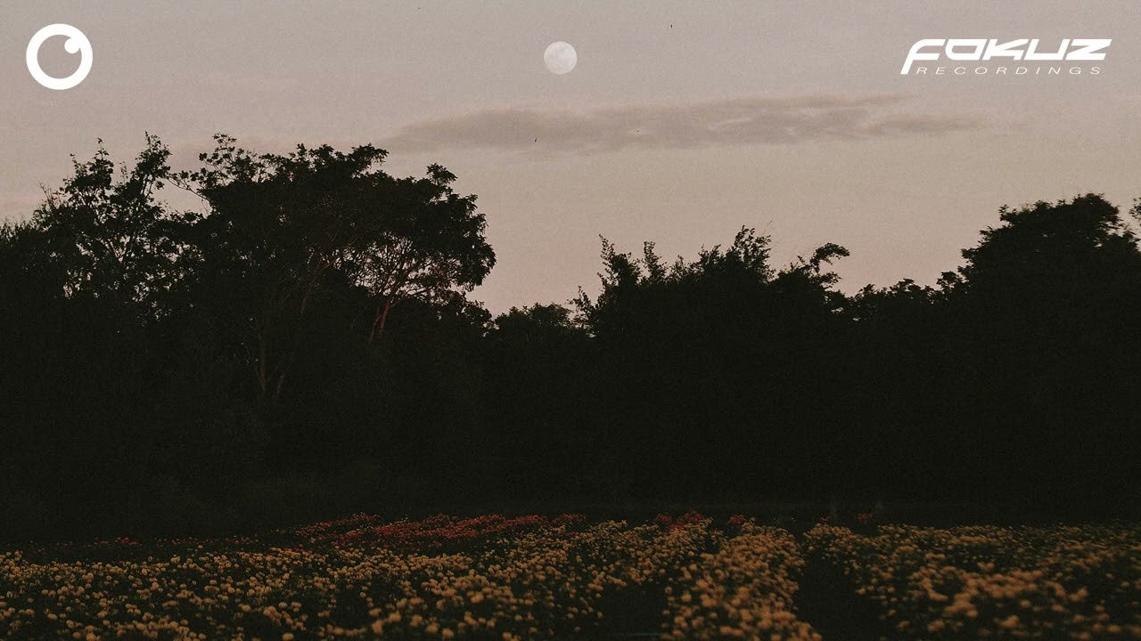 Soligen - Night Garden