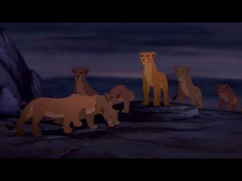 Il re leone - simba si confronta con scar