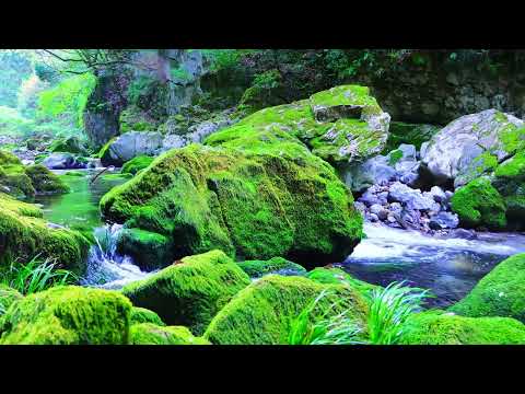 4K HDR Autumn Cascades - Forest Stream - Water Flowing Sounds - Natural White Noise - Sleep / Relax