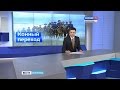 Казаки Юга России готовятся к конному походу из Волгограда в Севастополь. 