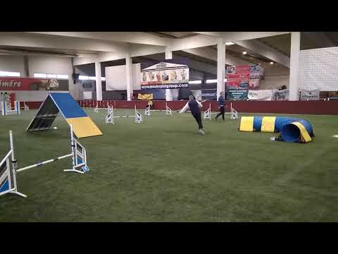 Szilveszteri Kaland  Lepke A1 agility futam 2019.