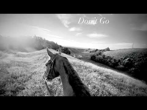 Te Wehi - Don’t Go (Audio)