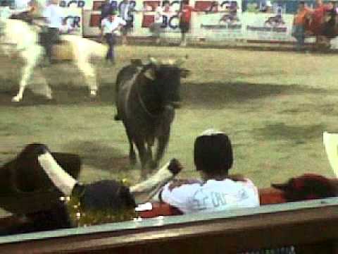 Corridas a la Tica ( Costa Rica's Bullfighting)