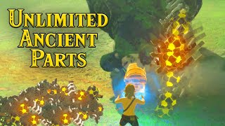 Ancient Part Glitch | How to with Tips and Tricks BotW