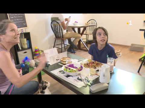 Bar à chats : Un nouveau concept débarque