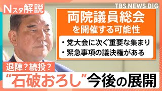 石破総理「議席失いお詫び」自民両院議員懇談会で陳謝　物価高対策はいつ…今後の展開は【Nスタ解説】｜TBS NEWS DIG