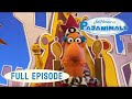 Pajanimals Present For Mom Queen For A Night Jim Henson Family Hub Kids Cartoons