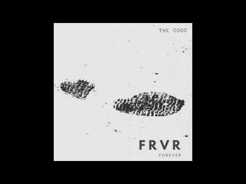 THE COOC: BUD feat Sandra Delaporte ( original mix)