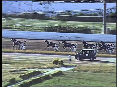 Trotto 11/06/2015 - 7° corsa