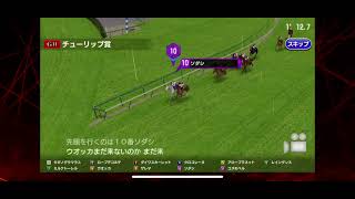 【スタポケプラス】ソダシ　チューリップ賞　先陣