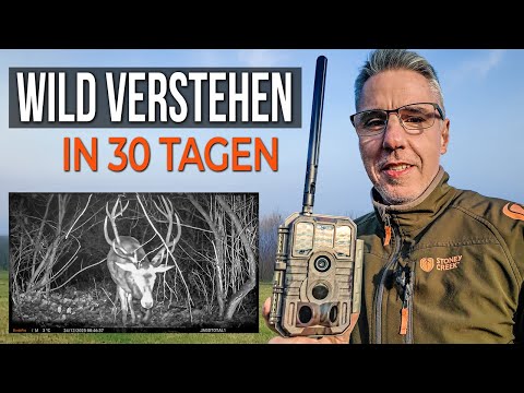 Wildkamera: 1 Monat Praxis – App, SIM & Daten sparen