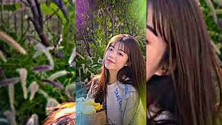 PERFECT X LINE WITHOUT A HOOK ||[NEW TREND] ||ALIGHT MOTION [✅XML]