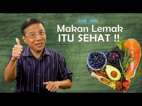 MAKAN LEMAK ITU SEHAT !!