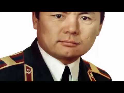 Мичид шүргэх алтай МУГЖ Д ДАШНЯМ