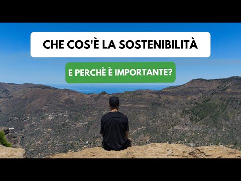 Che cos'è la sostenibilità e perché è importante?