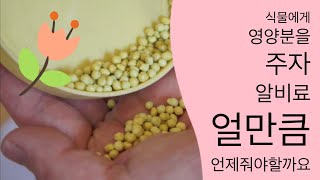 화초 알비료 주는법 :: 용량조절과 줘야할때 :구독하기  ㅣ:How to Apply NPK Fertilize…