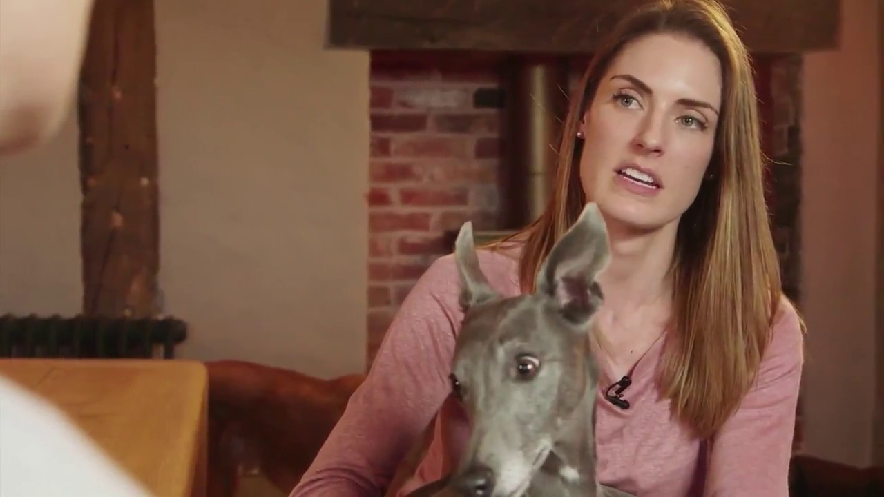 FRONTLINE: Whats the difference between FRONTLINE Plus and FRONTLINE Spot On?