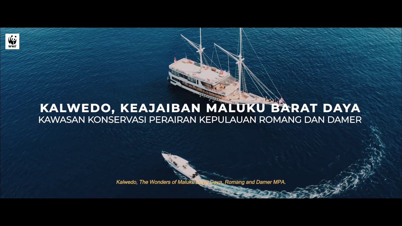 Mengungkap Keajaiban Biota Utama di Kepulauan Tersembunyi Indonesia