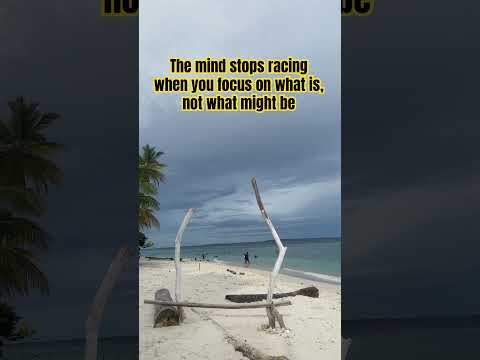 #shorts #teddyswims #beach #quoteoftheday #motivation #indonesiatimur #biakpapua