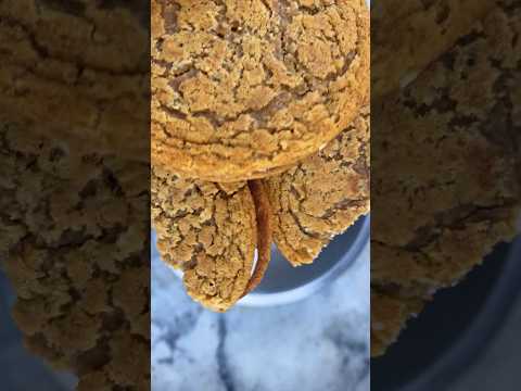 Oatmeal Creme Pies! 😋🍦 Craftwytch Ice Cream