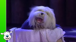 Samson &amp; Gert Kerstshow: Iedereen is ziek - Wakker worden #10