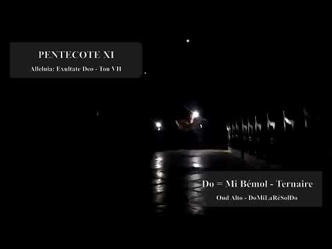 PENTECOTE XI 03 ALLELUIA EXULTATE DEO (Ton VII - Mi Bémol)