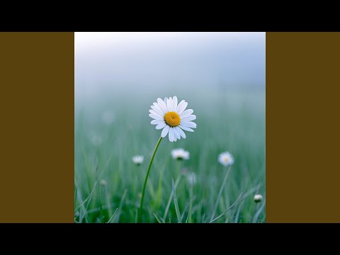 Gone with the Breeze