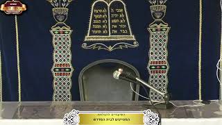 בית המדרש "תורת דוד" ¤ שידור חי ¤ כ"ג אב תשפ"ה (17.8.2024) (מוסדות תורת דוד) - התמונה מוצגת ישירות מתוך אתר האינטרנט יוטיוב. זכויות היוצרים בתמונה שייכות ליוצרה. קישור קרדיט למקור התוכן נמצא בתוך דף הסרטון