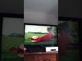Here Come The Teletubbies The Teletubbies Fall Over