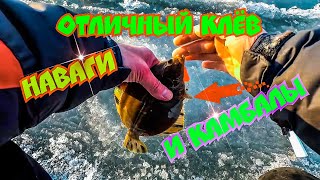 Блесна на камбалу зимой фото