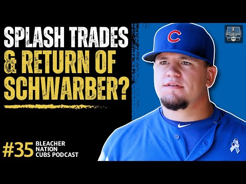 Should The Cubs Make a Big Off-Season Splash + Kyle Schwarber Reunion?  | Bleacher Nation Cubs
