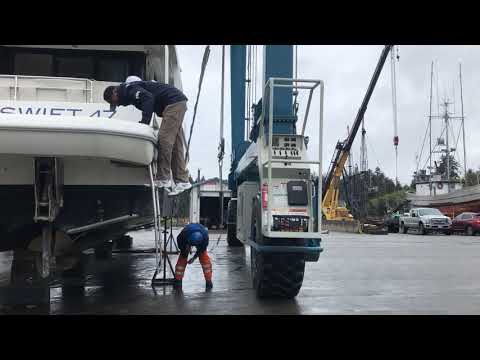 The Swift Pacific Adventure continues!