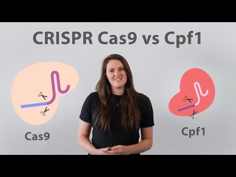 CRISPR Cas9 vs. Cpf1: 5 ways the Cpf1 nuclease outsnips Cas9 Video
