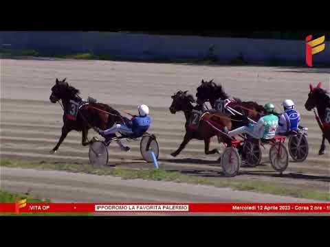 Race II of April 12, 2023 - 3 Years - 2000 Meters