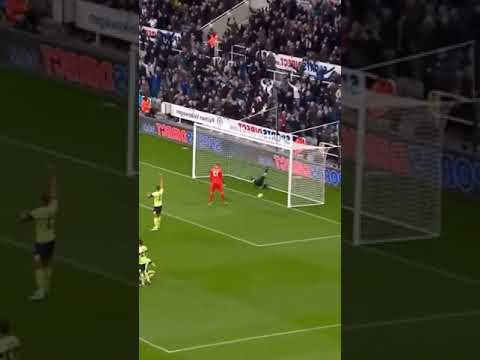 All Male Colleges Usa Top Scholarships Scholarship Information All Male Colleges Usa Top Scholarships Scholarship Information