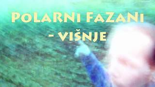 POLARNI FAZANI - Višnje