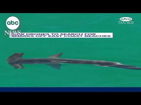 New drones to search for sharks off East Coast beaches