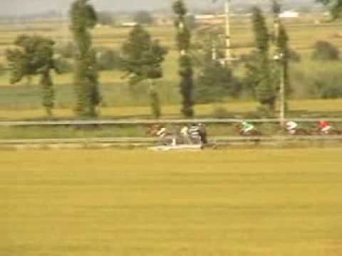 horse race record in Iran (1000 M) -- رکورد مسافت 1000 متر اسبدواني ايران