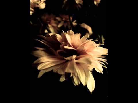 Fill & Ety - Кучките искат пари