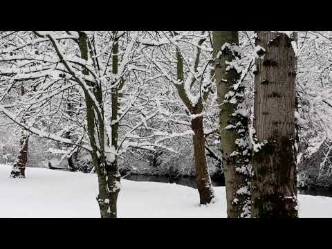 Yêu em một nửa - Vũ Khanh